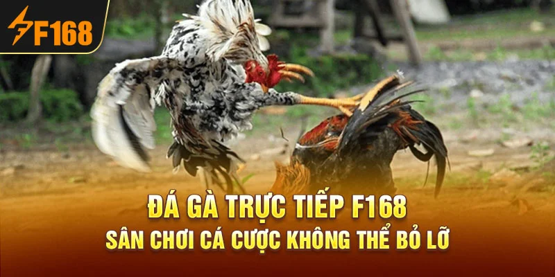 Đá Gà Trực Tiếp F168 – Sân Chơi Cá Cược Không Thể Bỏ Lỡ